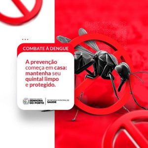 Leia mais sobre o artigo A prevenção da dengue começa em casa, com a eliminação de possíveis criadouros do mosquito Aedes aegypti.